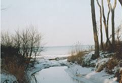 Orzechowa